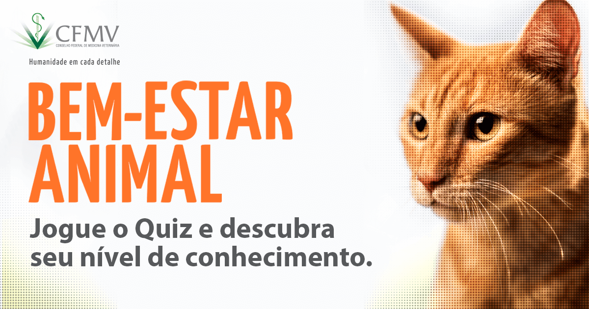 Quiz dos Animais - Perguntas e Respostas sobre os Animais